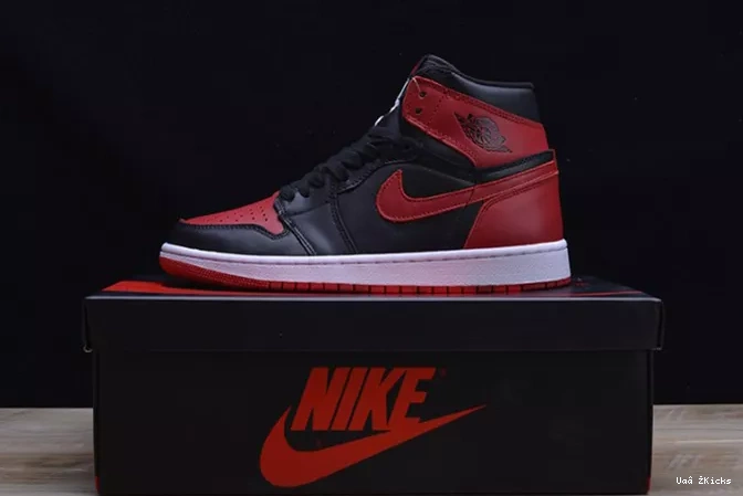 JORDAN AIR 338 RETRO 1 DailyWear 1010